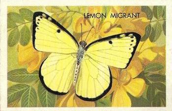 1959 Shell Project Cards; Series 4, Butterflies and Moths #187 Lemon Migrant Front