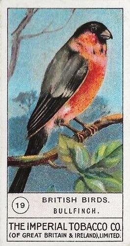 1910 Imperial Tobacco Company of Great Britain & Ireland - British Birds #19 Bullfinch Front