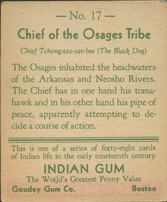 1933-40 Goudey Indian Gum (R73) #17 Chief of the Osages Tribe Back