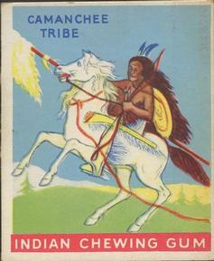 1933-40 Goudey Indian Gum (R73) #19 Camanchee Tribe Front