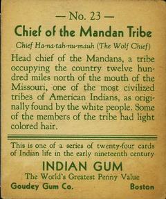 1933-40 Goudey Indian Gum (R73) #23 Mandan Tribe Back