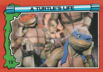 1991 Topps Teenage Mutant Ninja Turtles II: The Secret of the Ooze #19 A Turtle's Life Front
