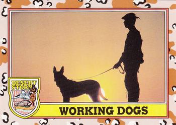 1991 Topps Desert Storm #220 Working Dogs Front