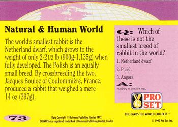 1992 Pro Set Guinness Book of Records #73 Rabbit or rabette? Back