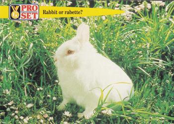 1992 Pro Set Guinness Book of Records #73 Rabbit or rabette? Front