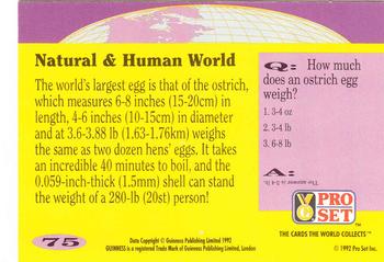 1992 Pro Set Guinness Book of Records #75 Eggstraordinary! Back