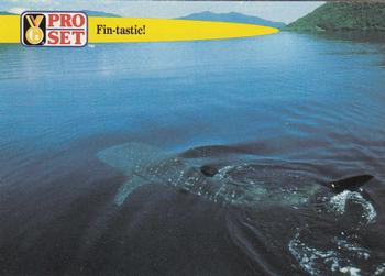 1992 Pro Set Guinness Book of Records #76 Fin-tastic! Front