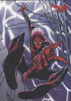 2009 Rittenhouse Spider-Man Archives #10 Enemies and Allies Front