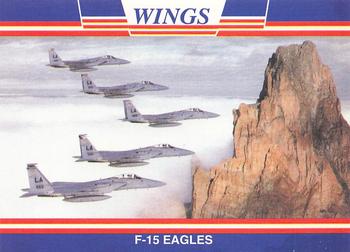 1991 CRT Wings #1 F-15 Eagles Front