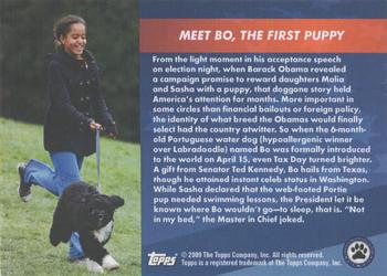 2009 Topps President Obama #NNO Meet Bo, The First Puppy Back