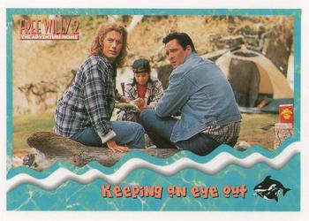 1995 SkyBox Free Willy 2: The Adventure Home #13 Keeping an eye out Front