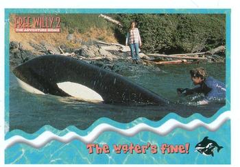 1995 SkyBox Free Willy 2: The Adventure Home #22 The water's fine! Front