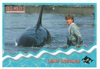 1995 SkyBox Free Willy 2: The Adventure Home #31 Luna beached Front