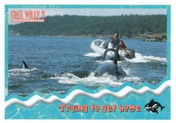 1995 SkyBox Free Willy 2: The Adventure Home #51 Trying to get home Front