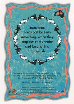 1995 SkyBox Free Willy 2: The Adventure Home #84 Orcas in the wild Back