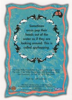 1995 SkyBox Free Willy 2: The Adventure Home #85 Orcas in the wild Back