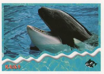 1995 SkyBox Free Willy 2: The Adventure Home #89 Keiko Front