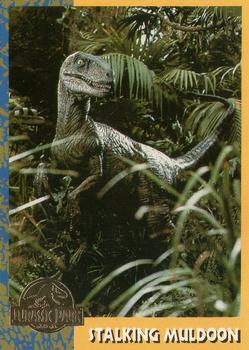 1993 Topps Jurassic Park Gold #54 Stalking Muldoon Front