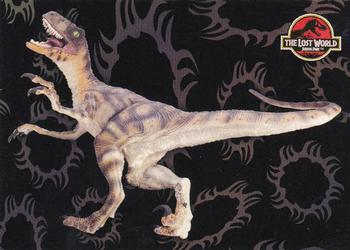 1997 Topps The Lost World: Jurassic Park #52 Velociraptor Front