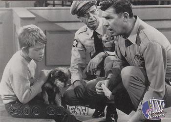 1998 Inkworks TV's Coolest Classics #53 The Andy Griffith Show: 
