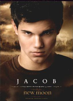 2009 NECA Twilight New Moon #4 Jacob Front
