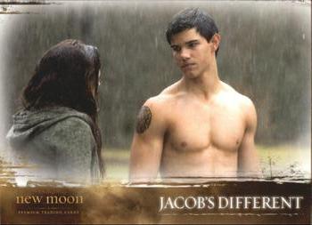 2009 NECA Twilight New Moon #51 Jacob's Different Front