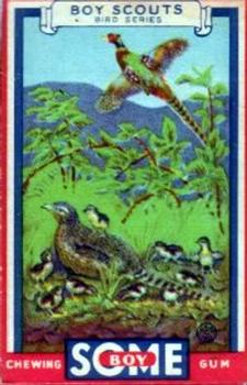 1933 Goudey Boy Scouts (R26) #8 The Pheasant Family Front