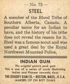 1947 Goudey Indian Gum (R773) #73 Steel Back