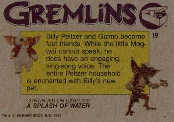 1984 Topps Gremlins #19 Billy and Gizmo Back