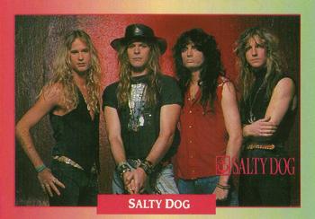 1991 Brockum Rock Cards #191 Salty Dog Front
