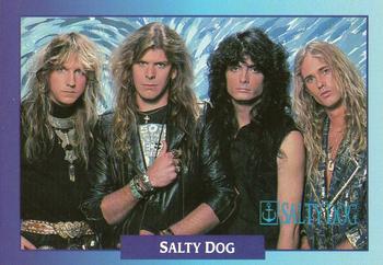 1991 Brockum Rock Cards #264 Salty Dog Front