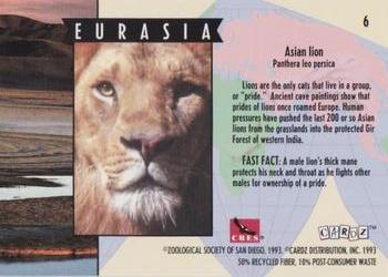 1993 Cardz The World Famous San Diego Zoo Animals of the Wild #6 Asian lion Back