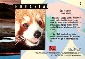1993 Cardz The World Famous San Diego Zoo Animals of the Wild #10 Lesser panda Back