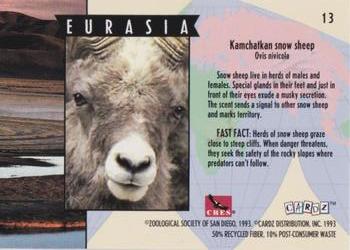1993 Cardz The World Famous San Diego Zoo Animals of the Wild #13 Kamchatkan snow sheep Back