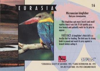 1993 Cardz The World Famous San Diego Zoo Animals of the Wild #16 Micronesian kingfisher Back