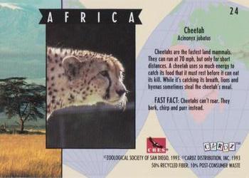 1993 Cardz The World Famous San Diego Zoo Animals of the Wild #24 Cheetah Back