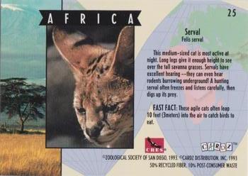 1993 Cardz The World Famous San Diego Zoo Animals of the Wild #25 Serval Back