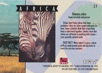 1993 Cardz The World Famous San Diego Zoo Animals of the Wild #27 Damara zebra Back