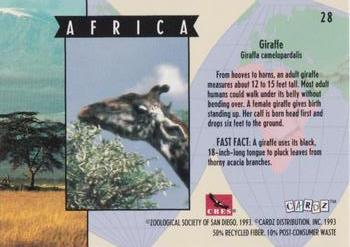 1993 Cardz The World Famous San Diego Zoo Animals of the Wild #28 Giraffe Back