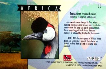1993 Cardz The World Famous San Diego Zoo Animals of the Wild #33 East African crowned crane Back