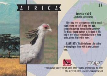 1993 Cardz The World Famous San Diego Zoo Animals of the Wild #37 Secretary bird Back