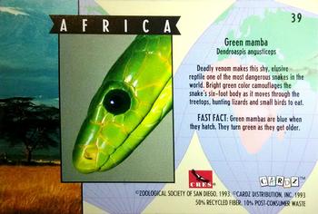 1993 Cardz The World Famous San Diego Zoo Animals of the Wild #39 Green mamba Back