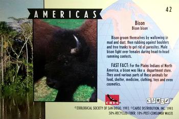 1993 Cardz The World Famous San Diego Zoo Animals of the Wild #42 Bison Back