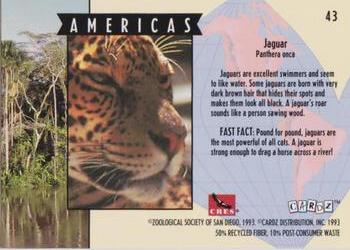 1993 Cardz The World Famous San Diego Zoo Animals of the Wild #43 Jaguar Back