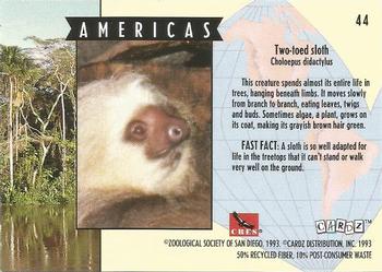 1993 Cardz The World Famous San Diego Zoo Animals of the Wild #44 Two-toed sloth Back