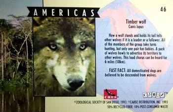 1993 Cardz The World Famous San Diego Zoo Animals of the Wild #46 Timber wolf Back