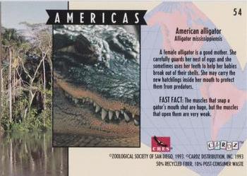 1993 Cardz The World Famous San Diego Zoo Animals of the Wild #54 American alligator Back