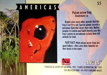 1993 Cardz The World Famous San Diego Zoo Animals of the Wild #55 Poison arrow frog Back