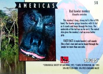 1993 Cardz The World Famous San Diego Zoo Animals of the Wild #58 Red howler monkey Back