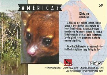 1993 Cardz The World Famous San Diego Zoo Animals of the Wild #59 Kinkajou Back